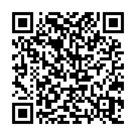 QR code for 737INT