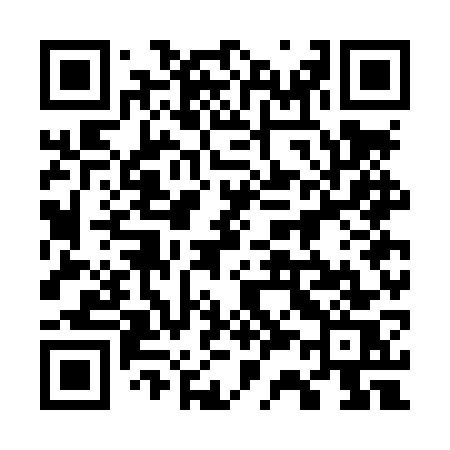 QR code for 737LWS