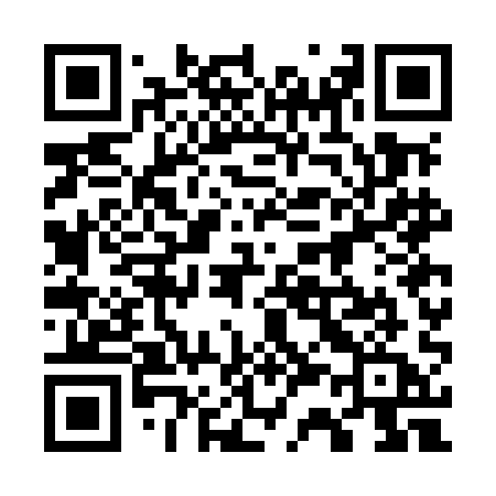 QR code for 737MAA