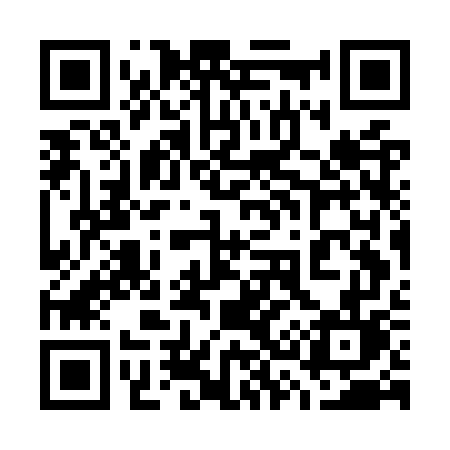 QR code for 737OWL