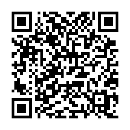 QR code for 737SDM