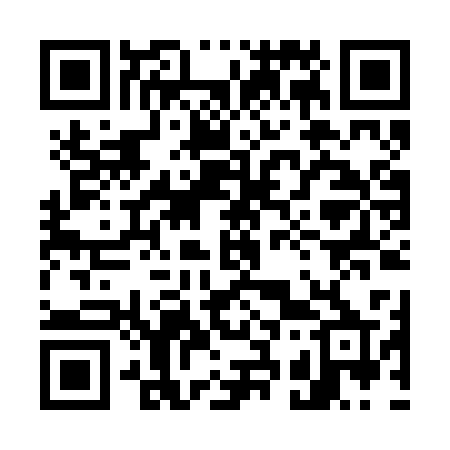 QR code for 738BSP