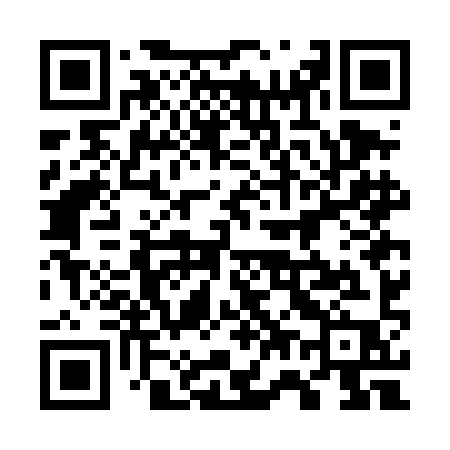 QR code for 777DIP