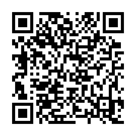 QR code for 838CZK