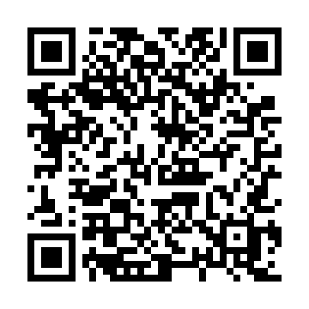 QR code for 838VEH