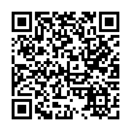 QR code for 856ICO