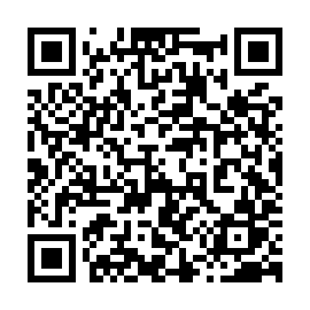 QR code for 856MYR