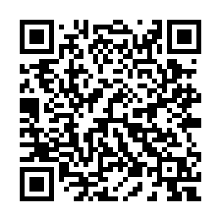 QR code for 859PAP
