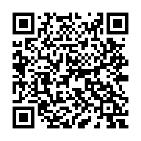 QR code for 869PPG