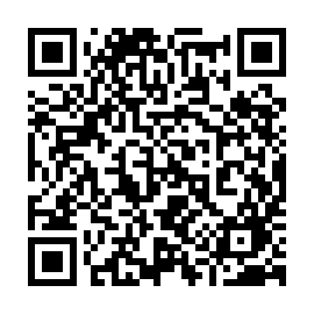 QR code for 911QIG