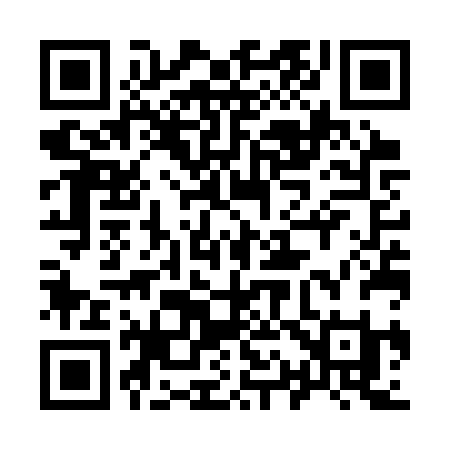 QR code for 917SRI