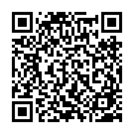 QR code for 919BDE