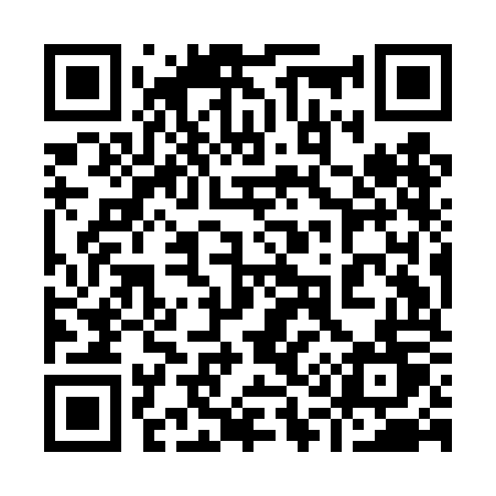 QR code for 919DOT