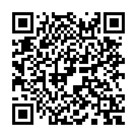 QR code for 919DSX