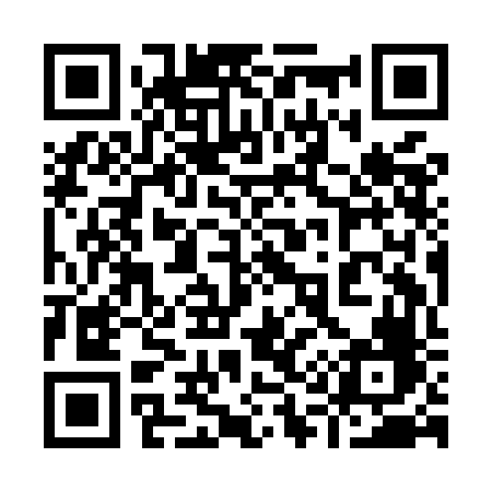 QR code for 919MFF