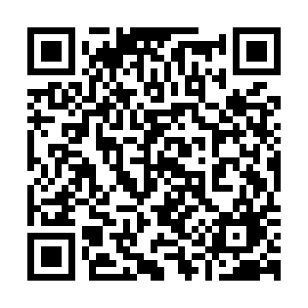 QR code for 919MQG
