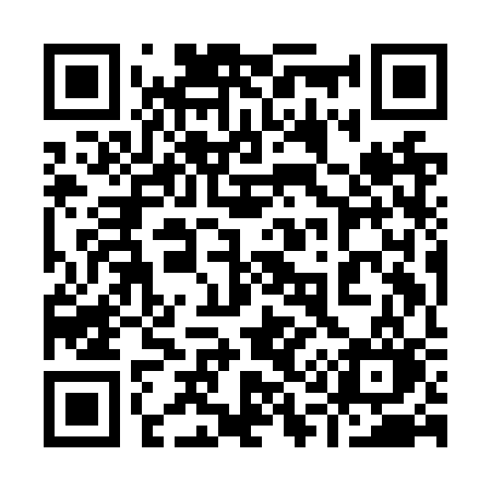 QR code for 919NSO