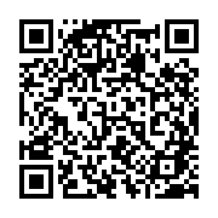 QR code for 919QLA