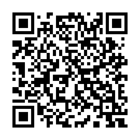 QR code for 938BIN