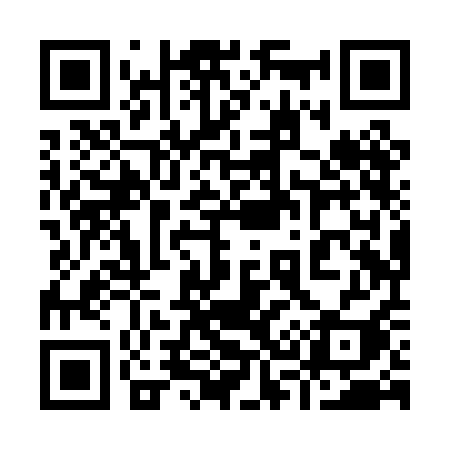 QR code for 938PAI