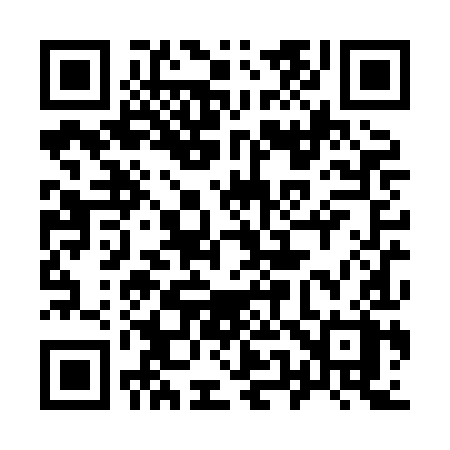 QR code for 950XIX