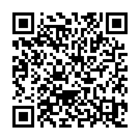 QR code for 951QZI