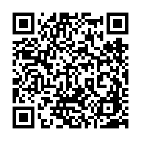 QR code for 953FFG