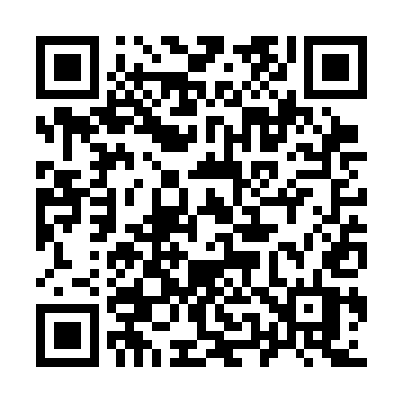 QR code for 953SET