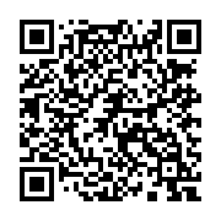 QR code for 965LAN