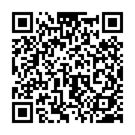 QR code for 973PUI