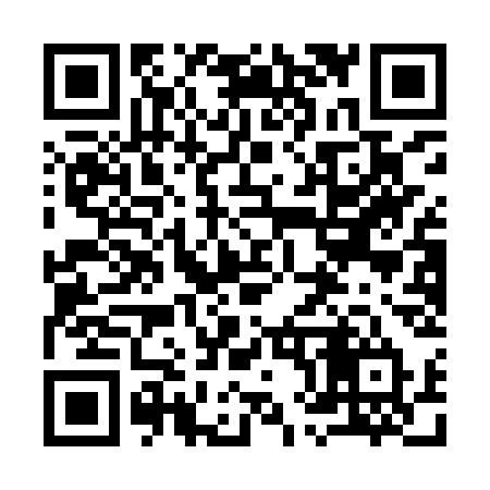 QR code for 981IST