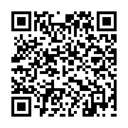 QR code for 981SPM