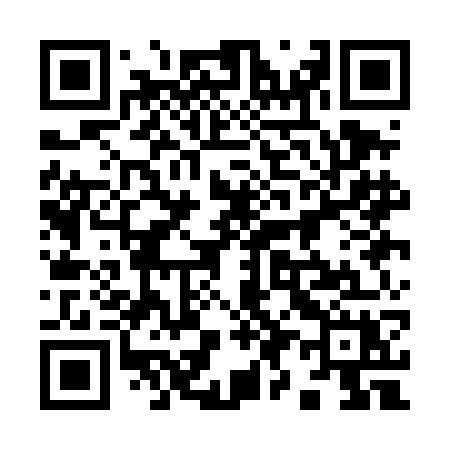 QR code for 991DGX
