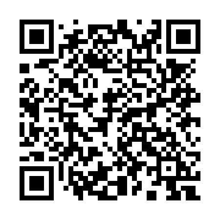 QR code for 991NRI