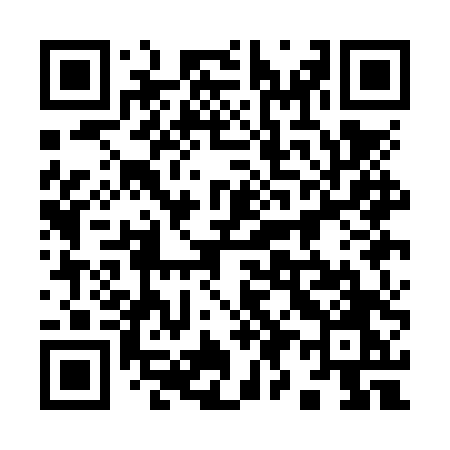 QR code for 991NTO