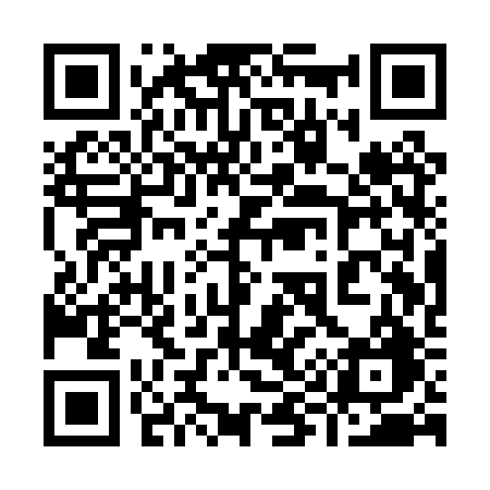 QR code for 991PRG