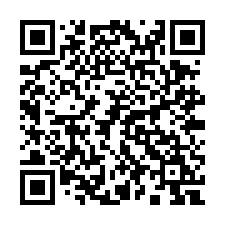 QR code for 991TEM