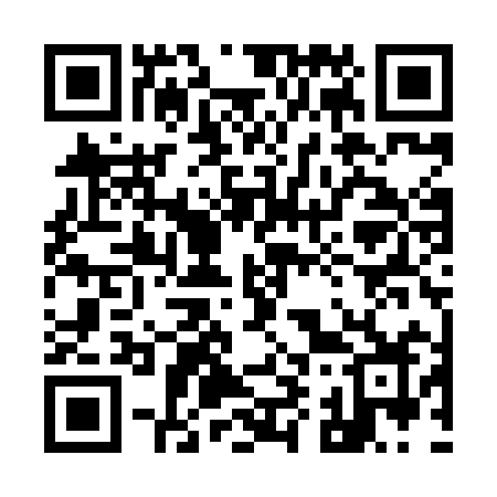 QR code for 991XIZ