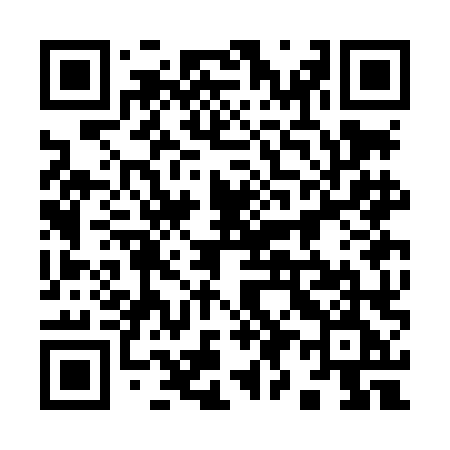 QR code for 993LLE