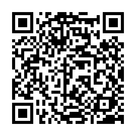 QR code for 993PZI