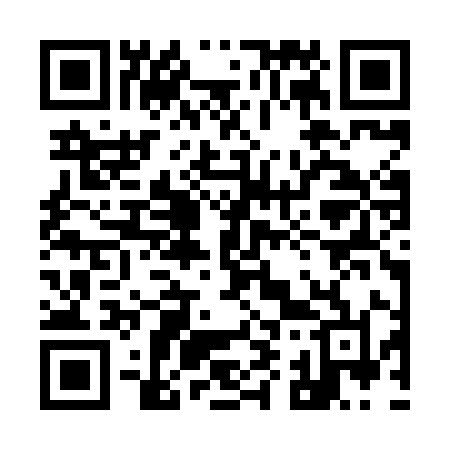 QR code for 993XIL