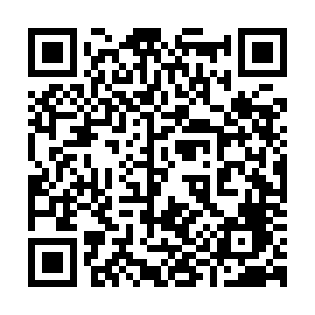 QR code for 994INF