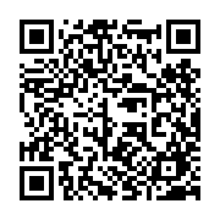 QR code for 994TIG