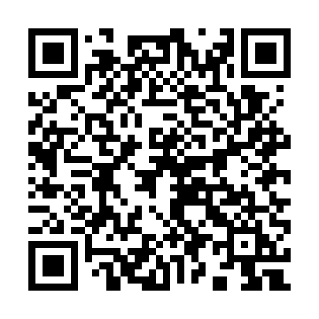 QR code for 995GUI