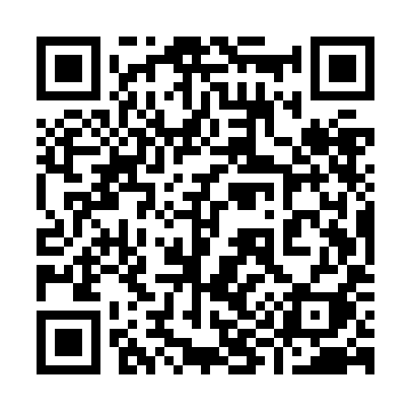 QR code for 995ZII