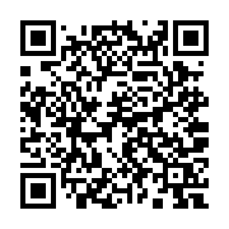 QR code for 996POS