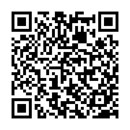 QR code for AAE385