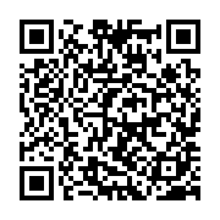QR code for AAN381