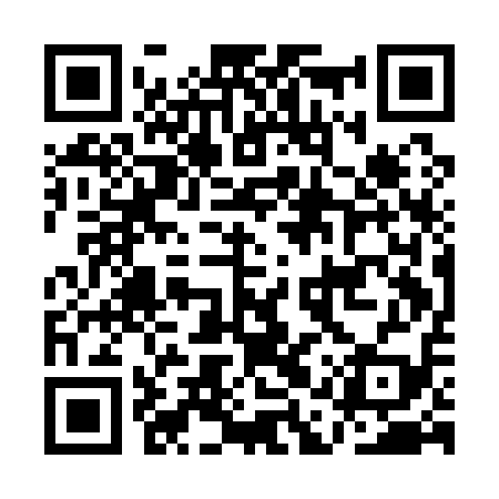 QR code for AAQA19
