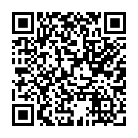 QR code for AAT384